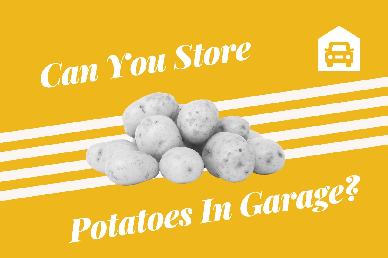 Tips for Storing Potatoes to Keep Them Fresh