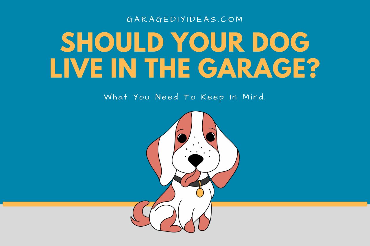Should Your Dog Live in the Garage