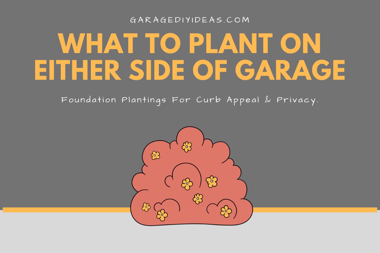 what to plant on either side of garage